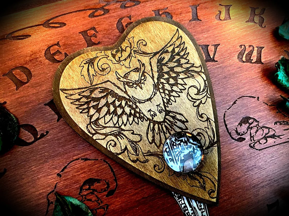 Owl