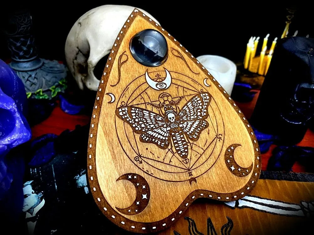 Death's Head Moth