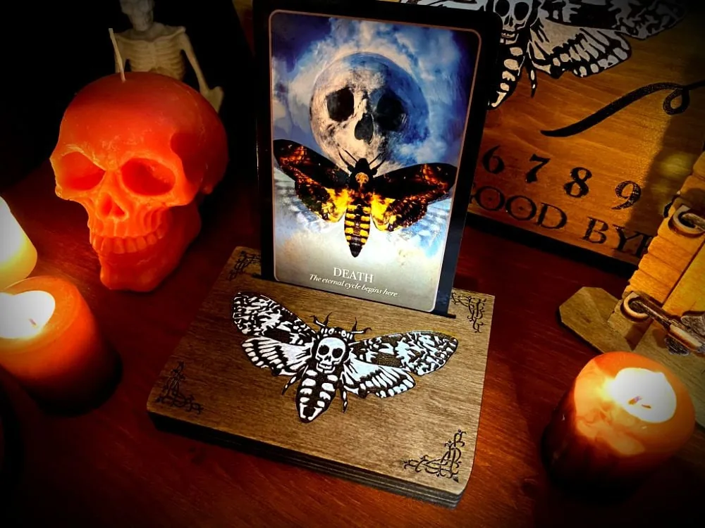 Death's Head Moth