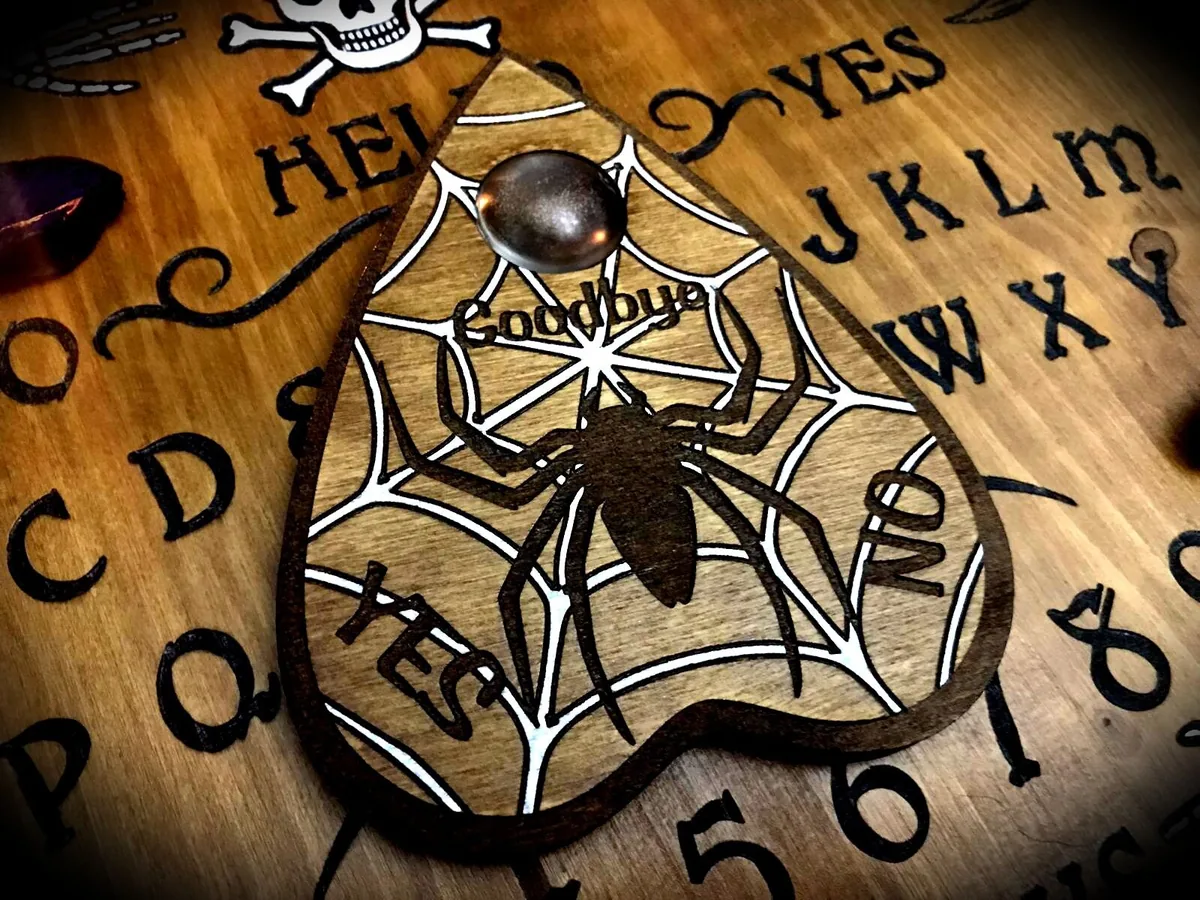 Spider Net