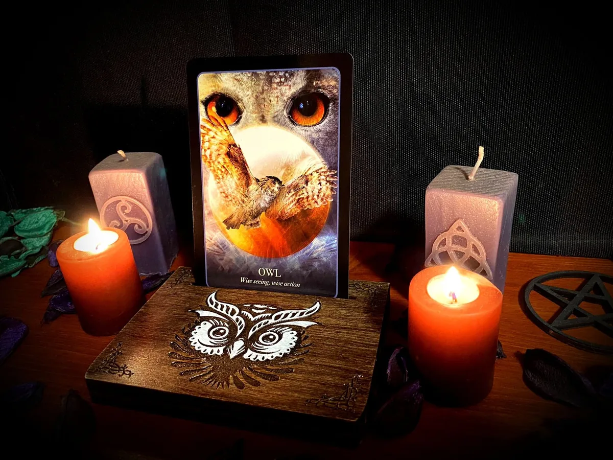 Night Owl